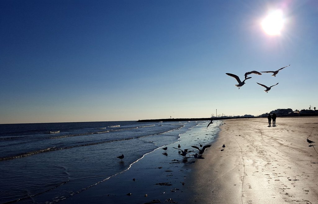 galveston-island-on-a-budget